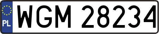 WGM28234