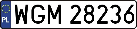 WGM28236