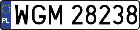 WGM28238