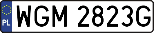 WGM2823G