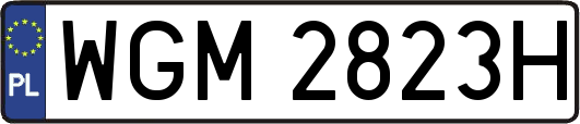 WGM2823H