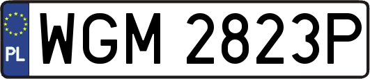 WGM2823P