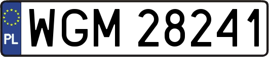 WGM28241