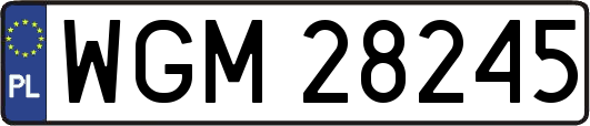 WGM28245