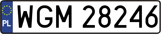 WGM28246