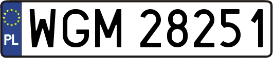 WGM28251