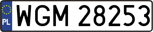 WGM28253