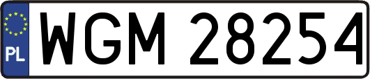 WGM28254