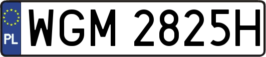 WGM2825H