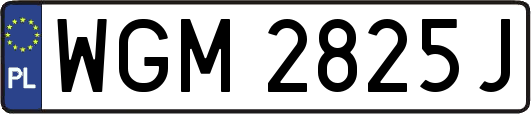 WGM2825J