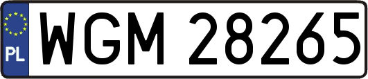 WGM28265