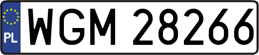 WGM28266