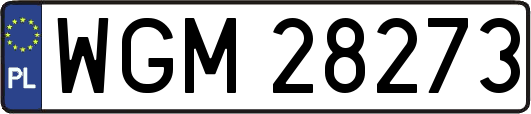 WGM28273