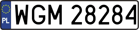 WGM28284