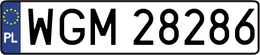 WGM28286