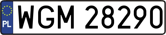 WGM28290