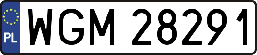 WGM28291
