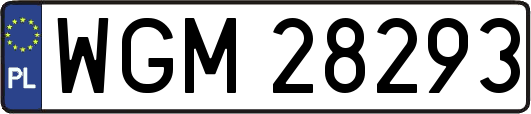 WGM28293