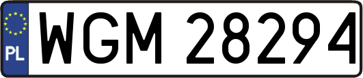 WGM28294