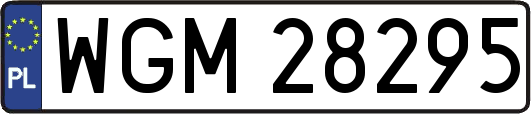 WGM28295