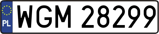 WGM28299