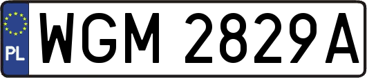 WGM2829A