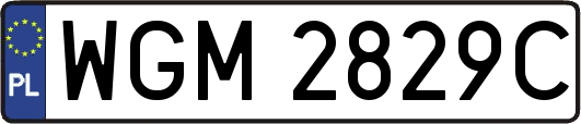 WGM2829C