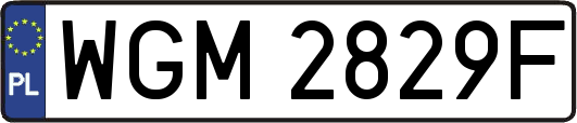 WGM2829F