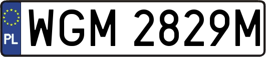 WGM2829M