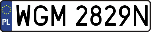 WGM2829N