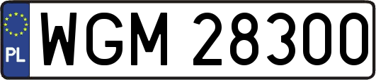 WGM28300