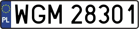 WGM28301