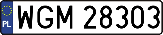 WGM28303