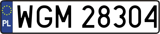 WGM28304
