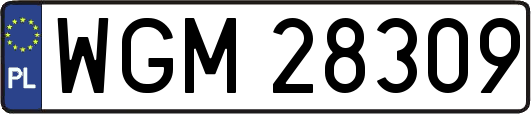 WGM28309