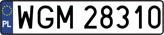 WGM28310
