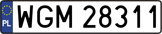 WGM28311