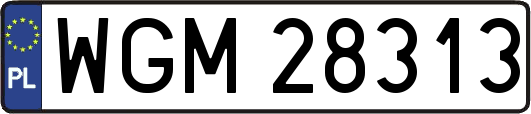 WGM28313