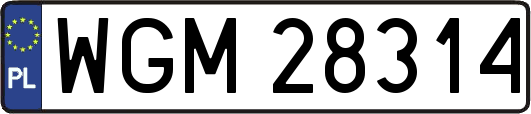 WGM28314