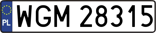 WGM28315