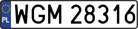 WGM28316