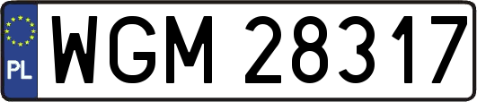 WGM28317