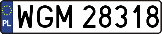 WGM28318