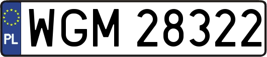 WGM28322