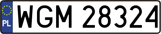 WGM28324