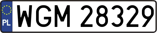 WGM28329
