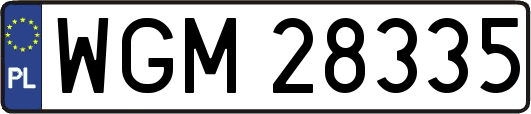 WGM28335