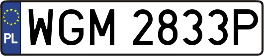 WGM2833P