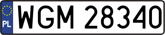 WGM28340