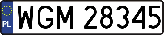 WGM28345
